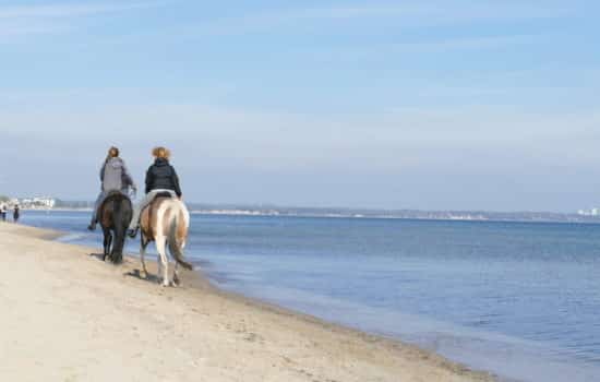Zwei Pferde am Strand von Timmendorfer Strand