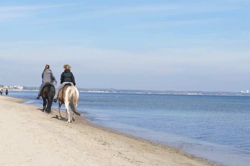 Zwei Pferde am Strand von Timmendorfer Strand