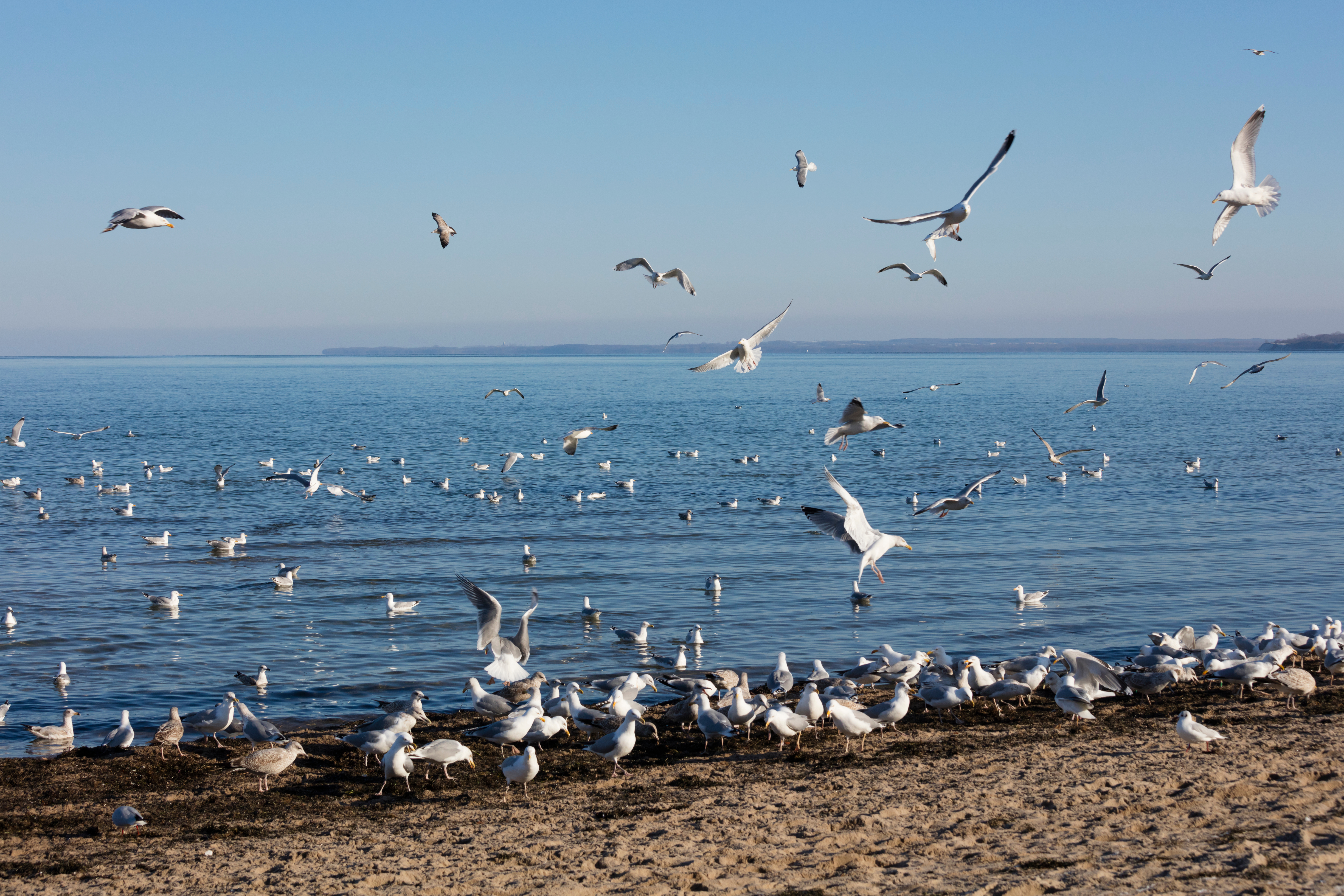 AdobeStock_205198897