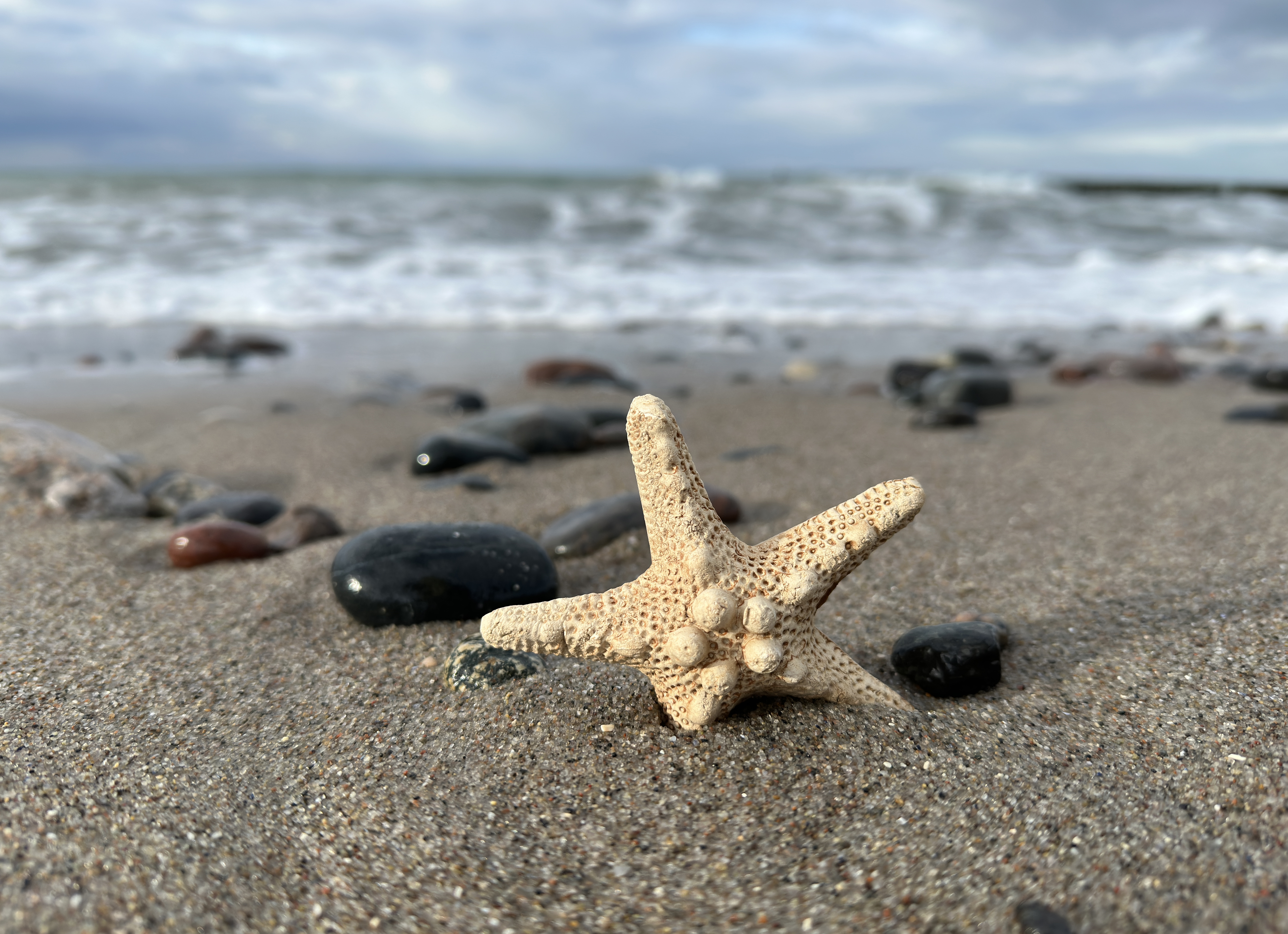 AdobeStock_580557491