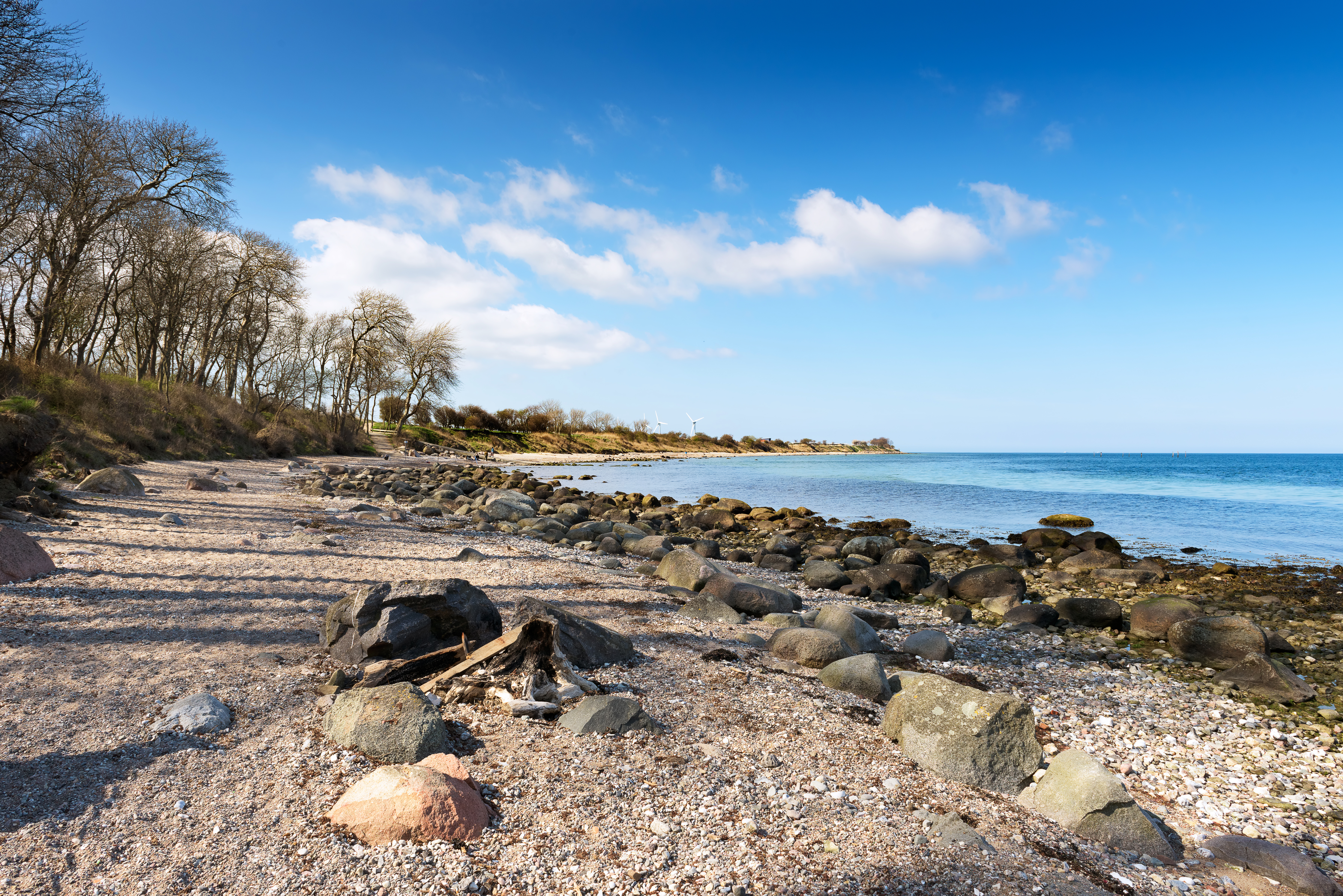 AdobeStock_296901945