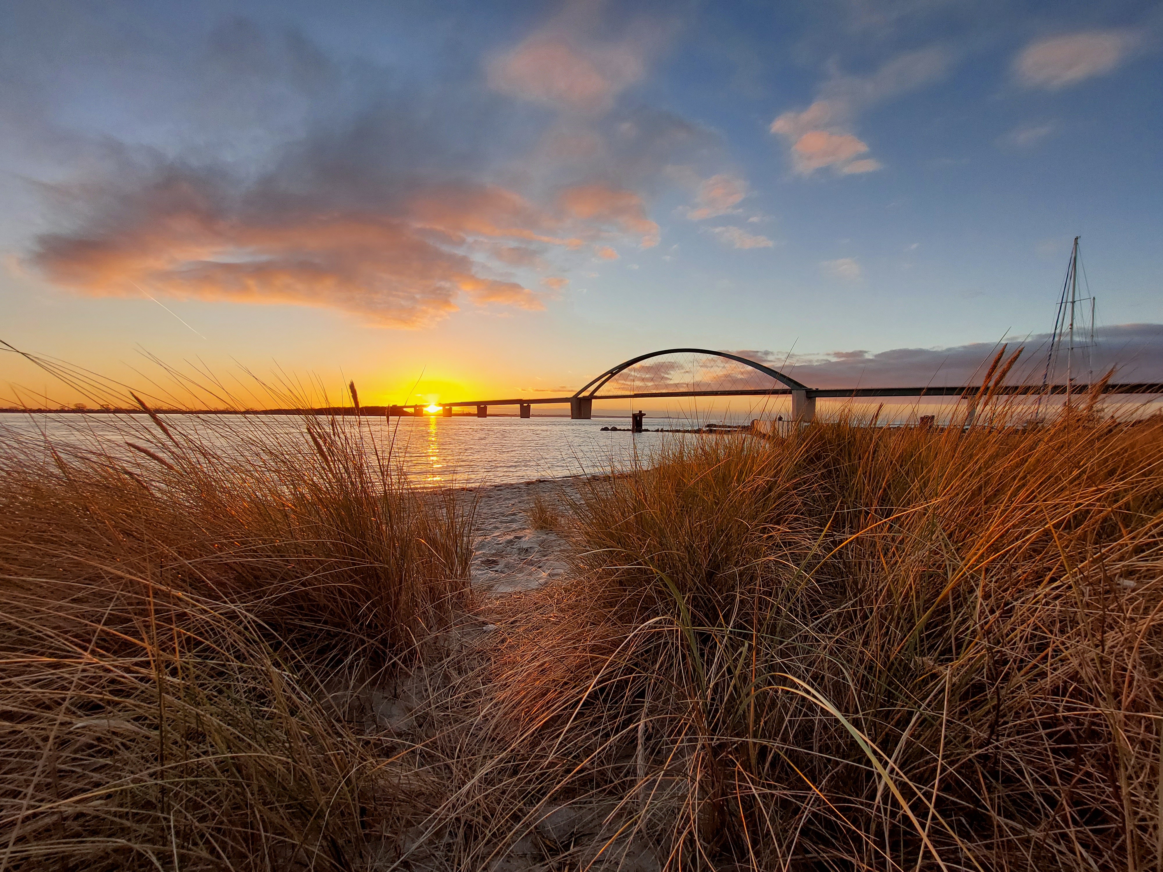 AdobeStock_482649852