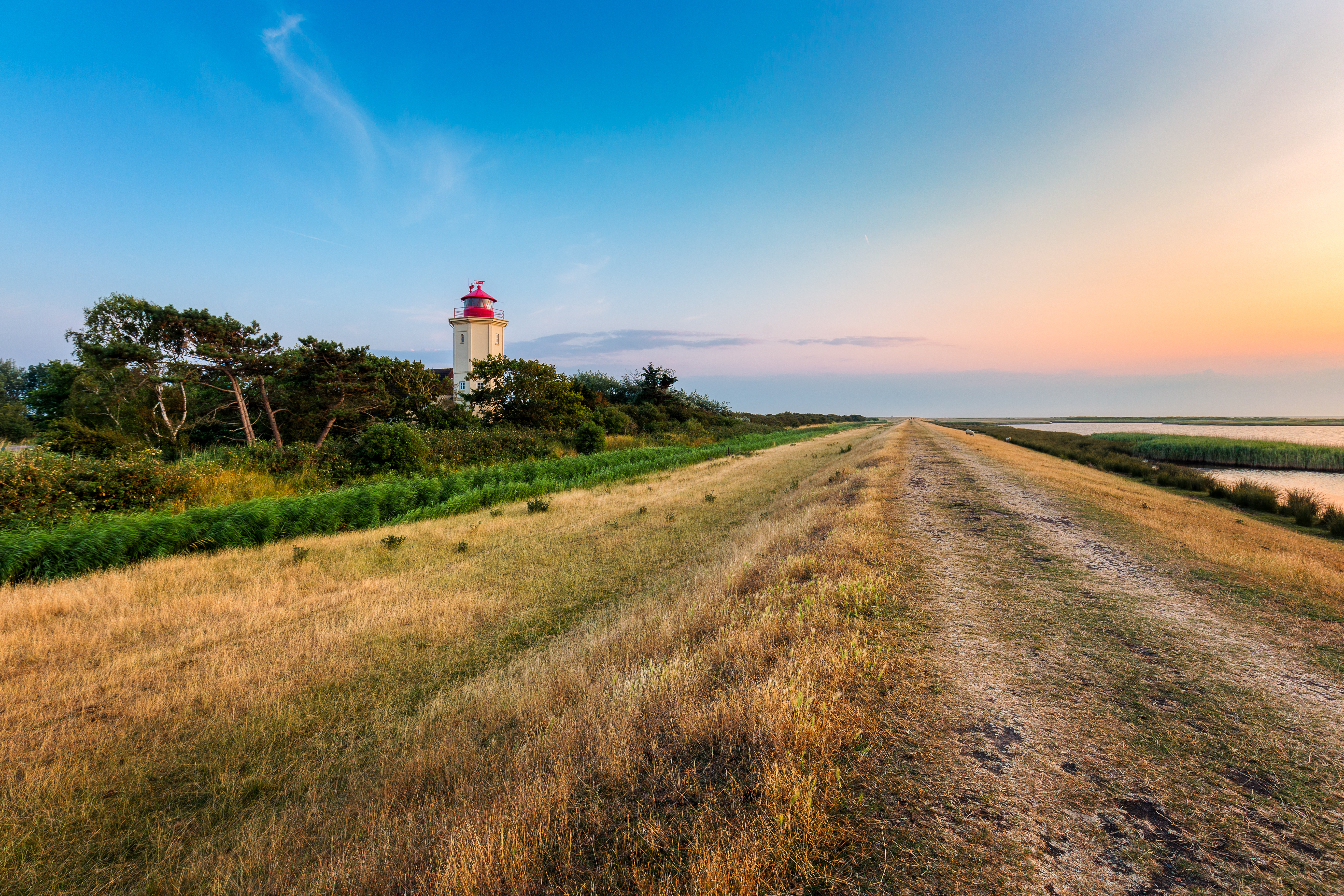 AdobeStock_283827431