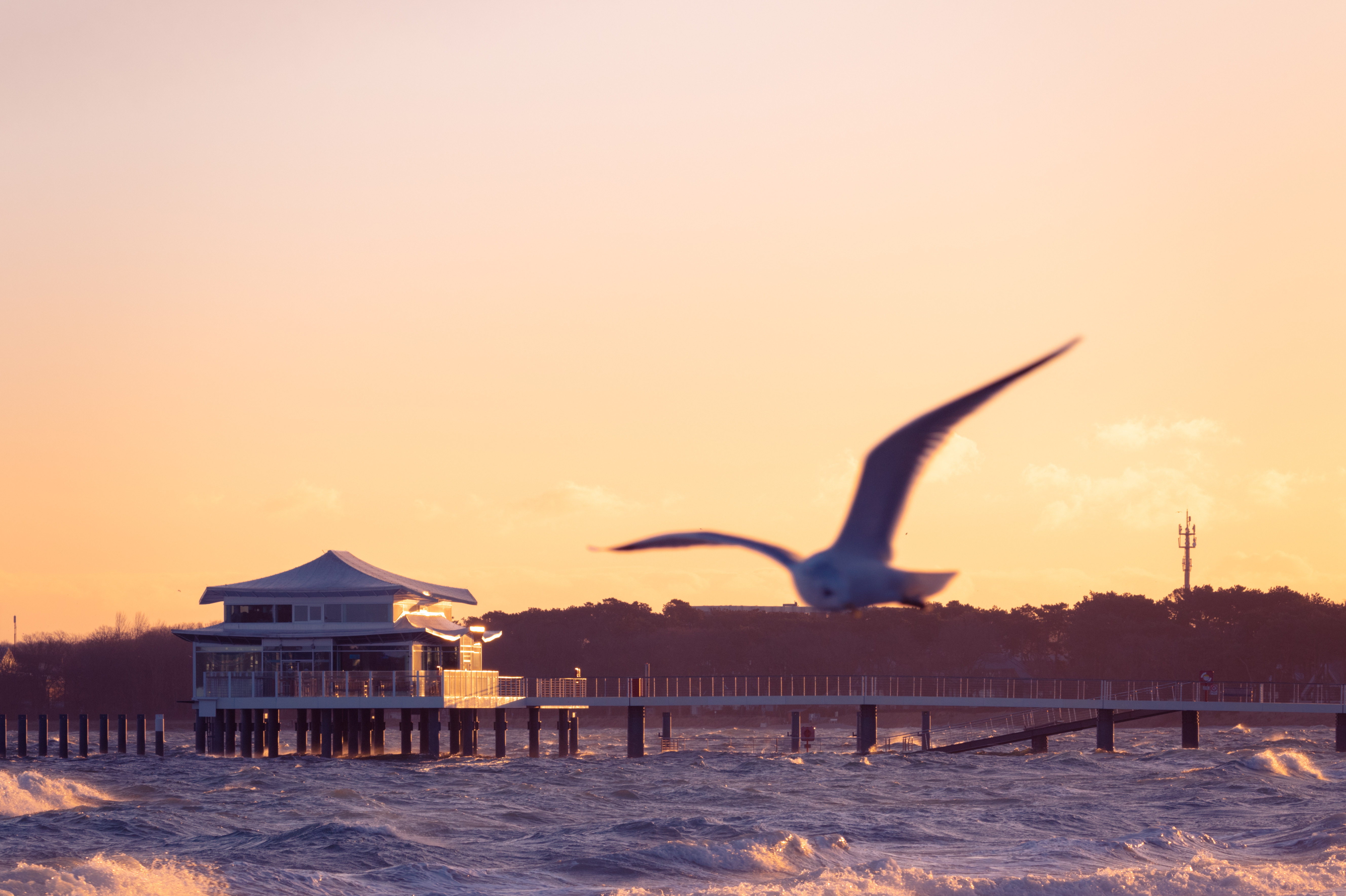 AdobeStock_346960052