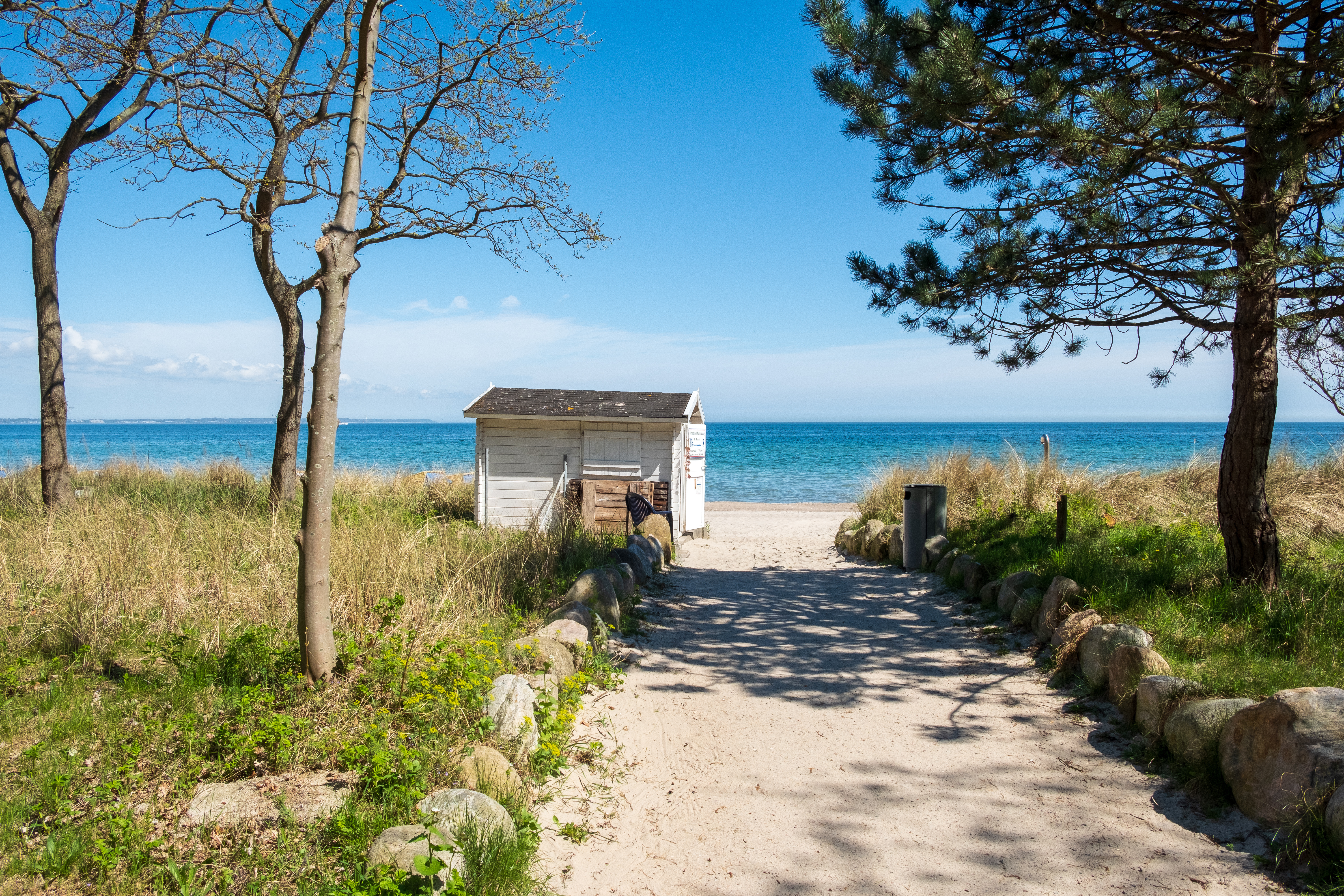 AdobeStock_212962338