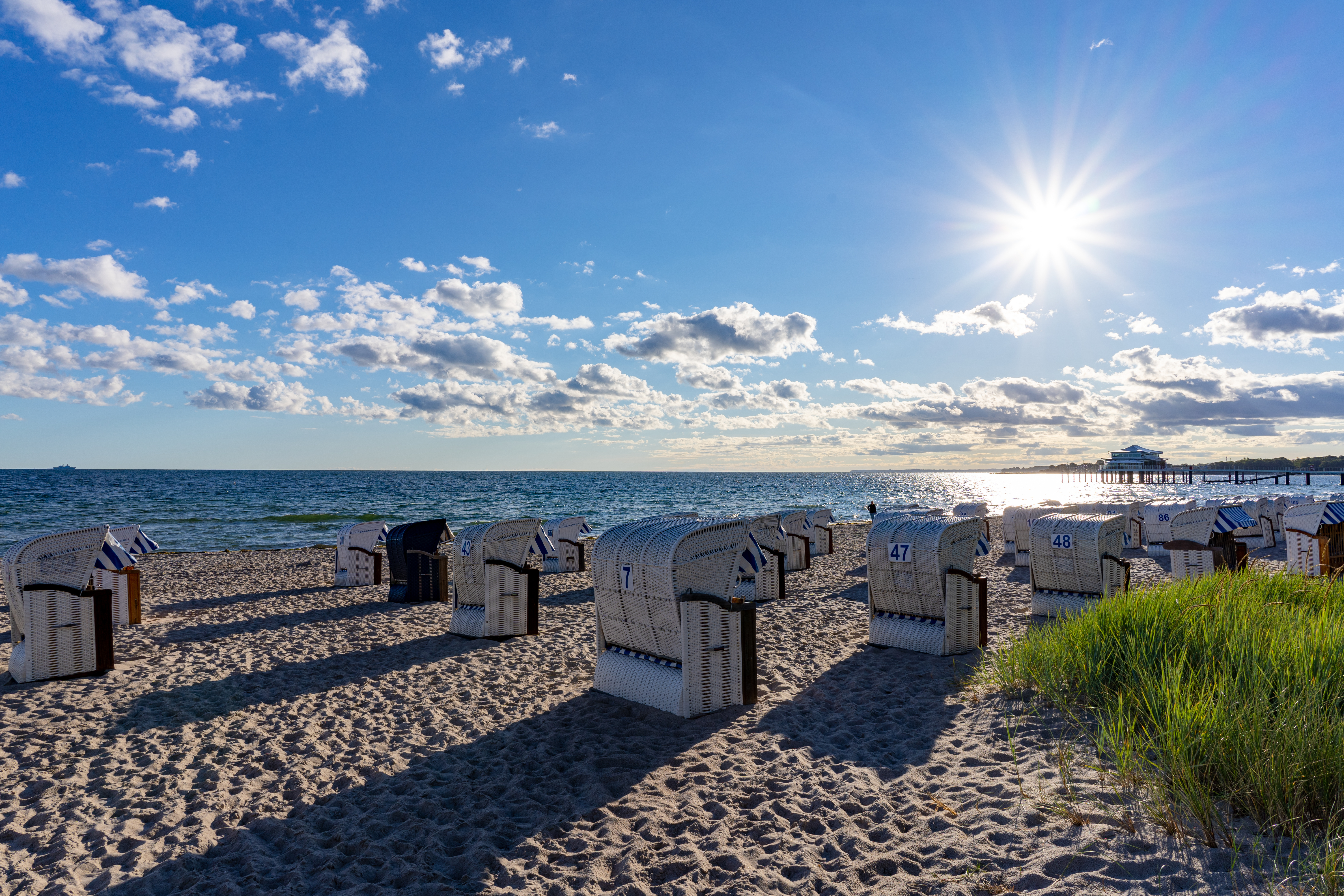 AdobeStock_453560706