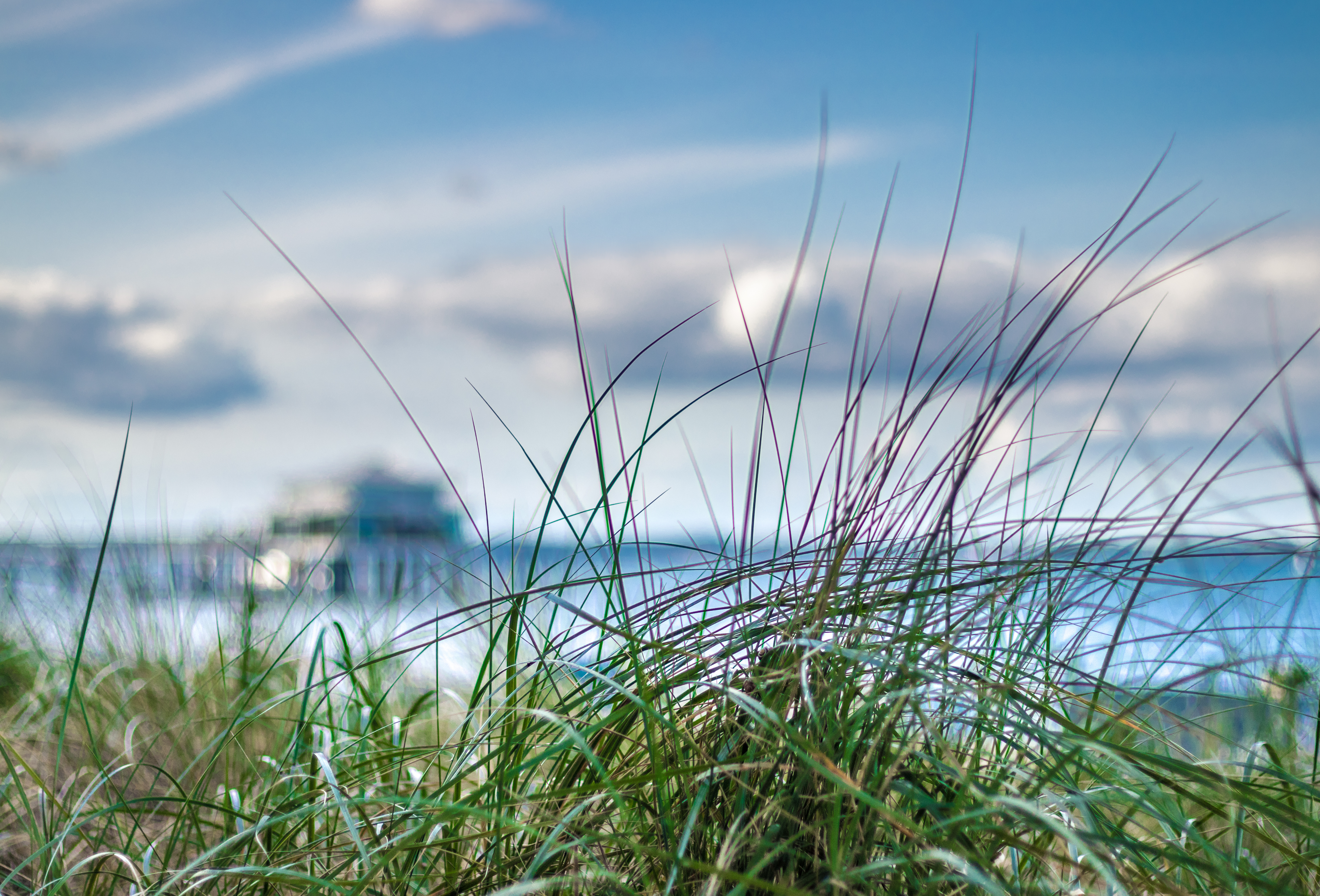 AdobeStock_170986835