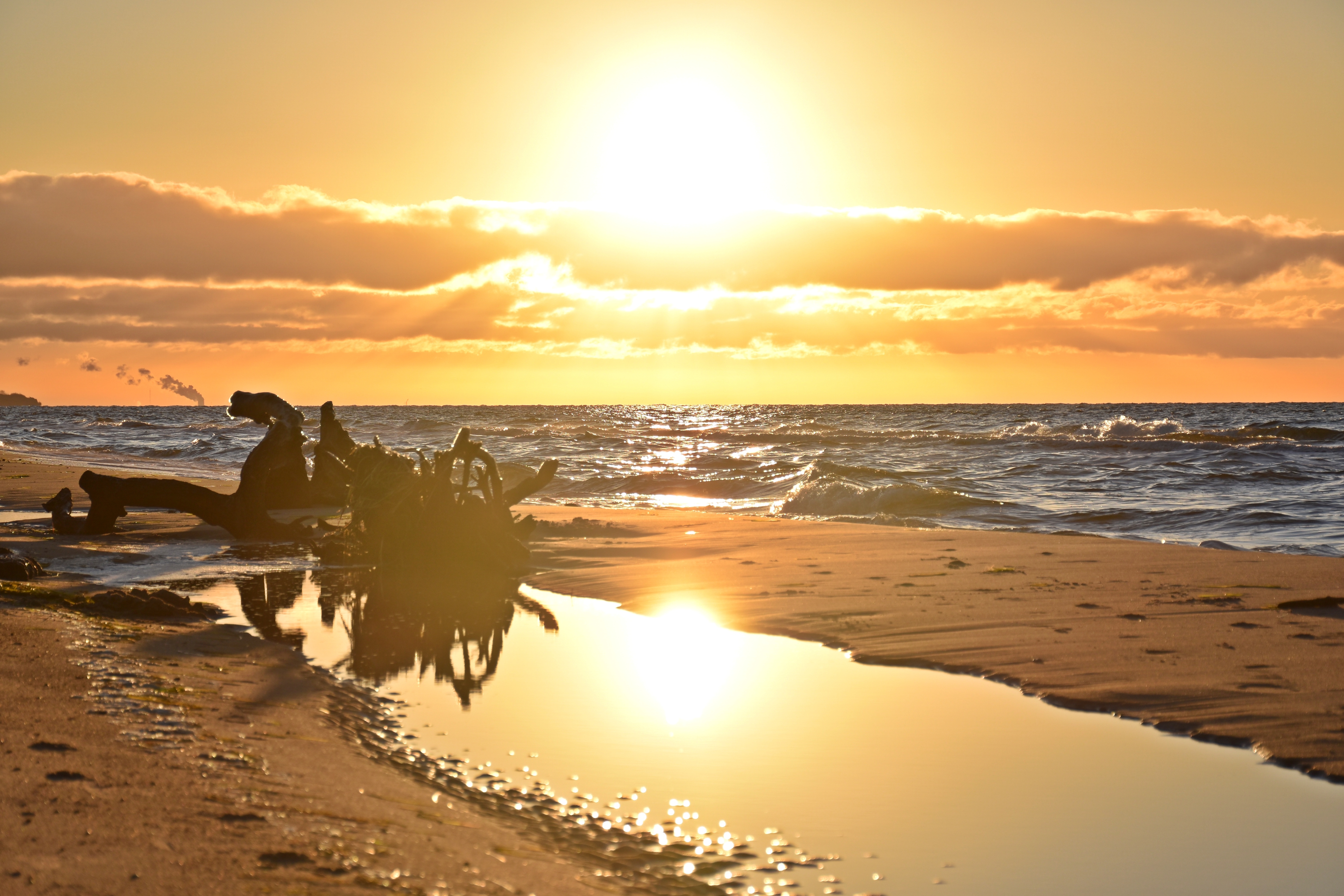 AdobeStock_482193308