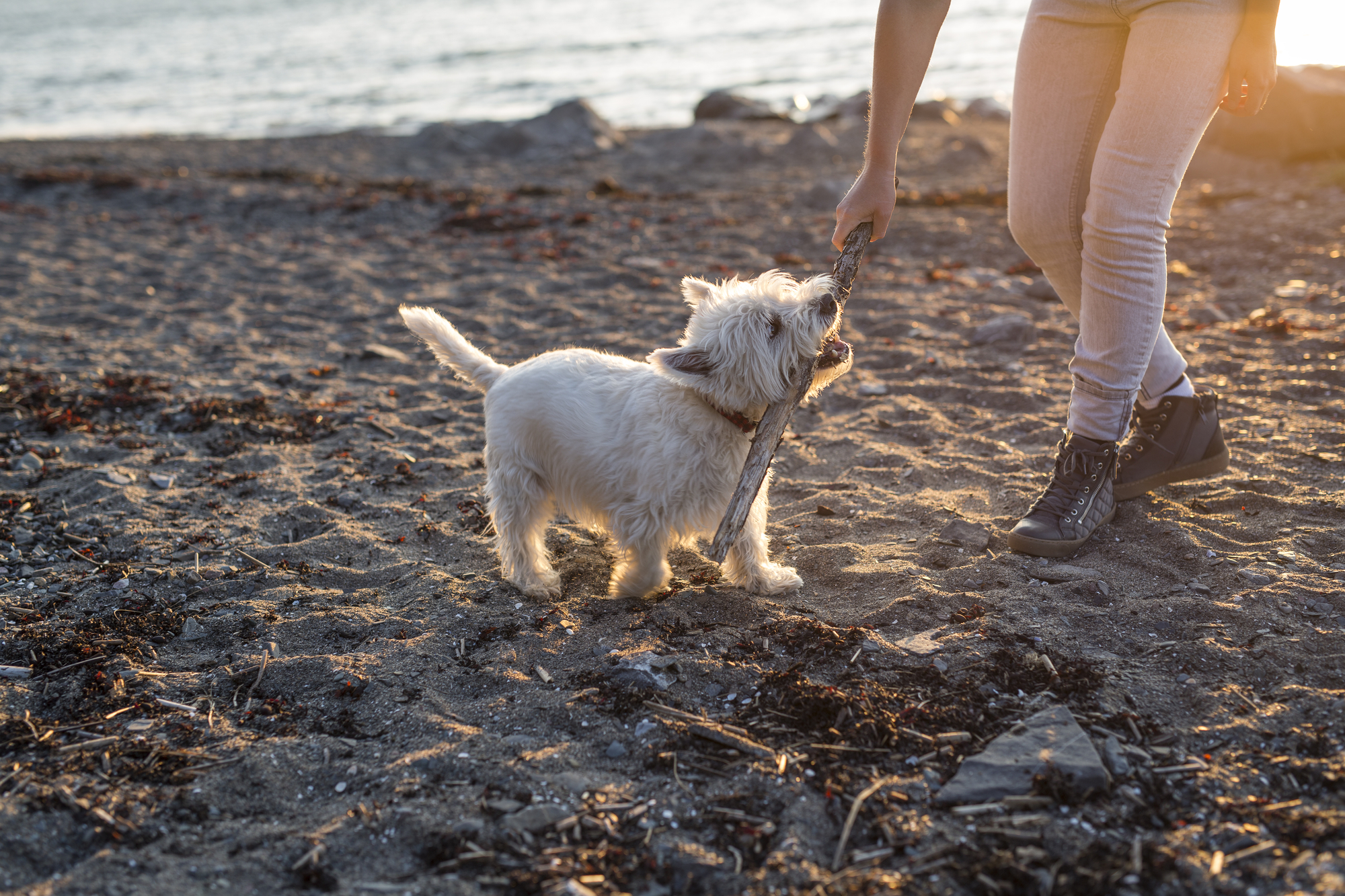 Depositphotos_167105056_L
