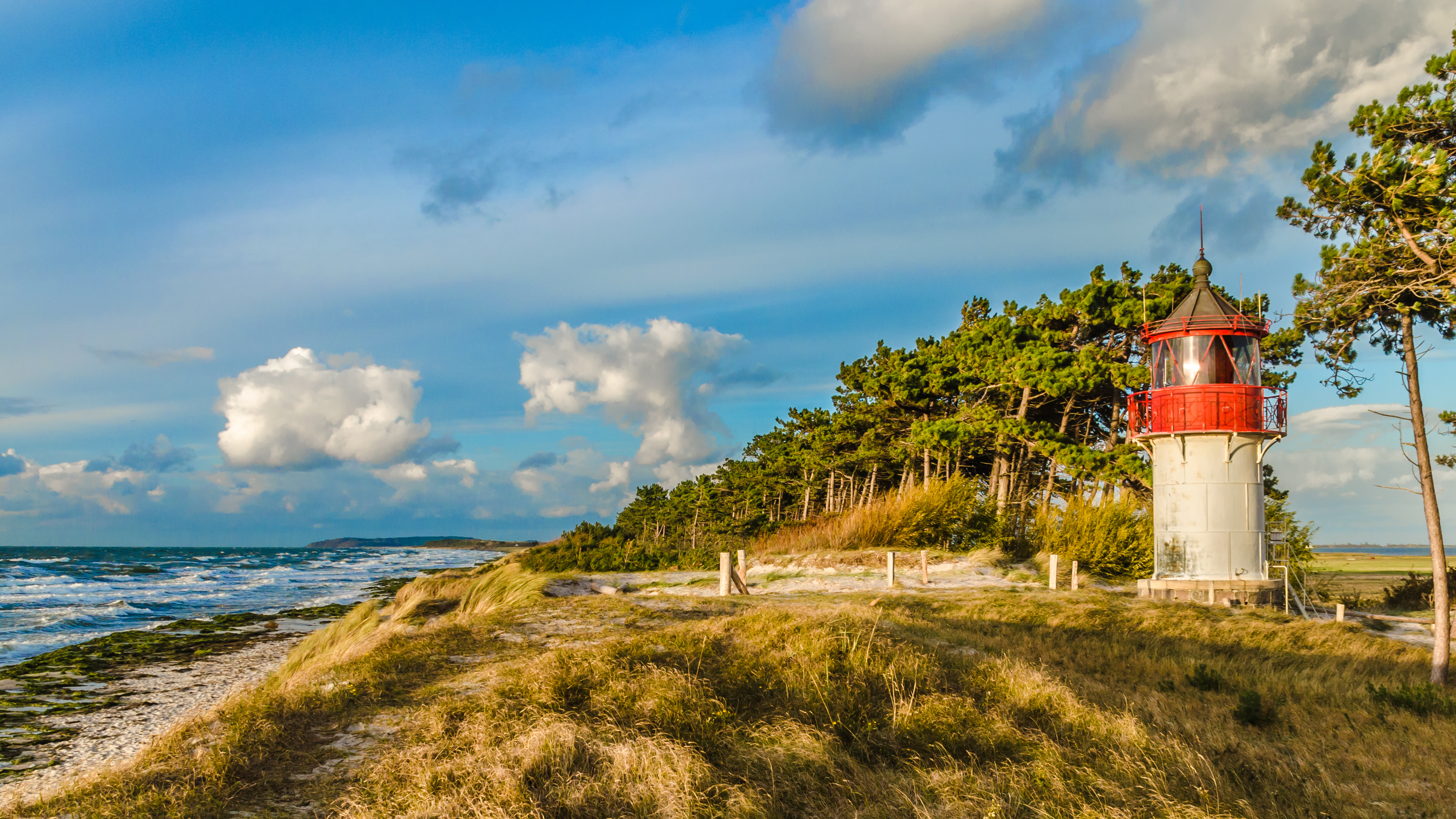 AdobeStock_242905666