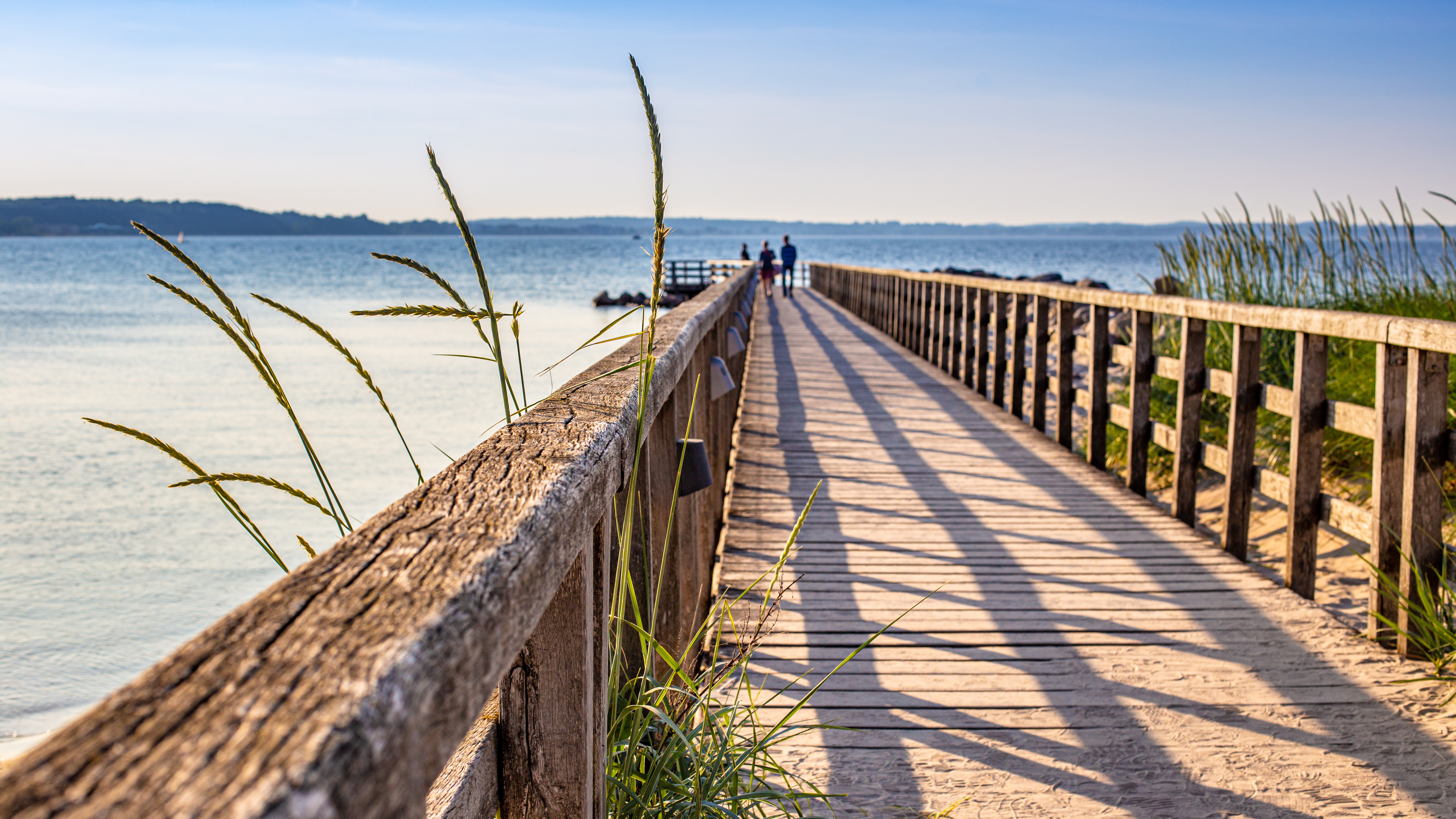 AdobeStock_440620263