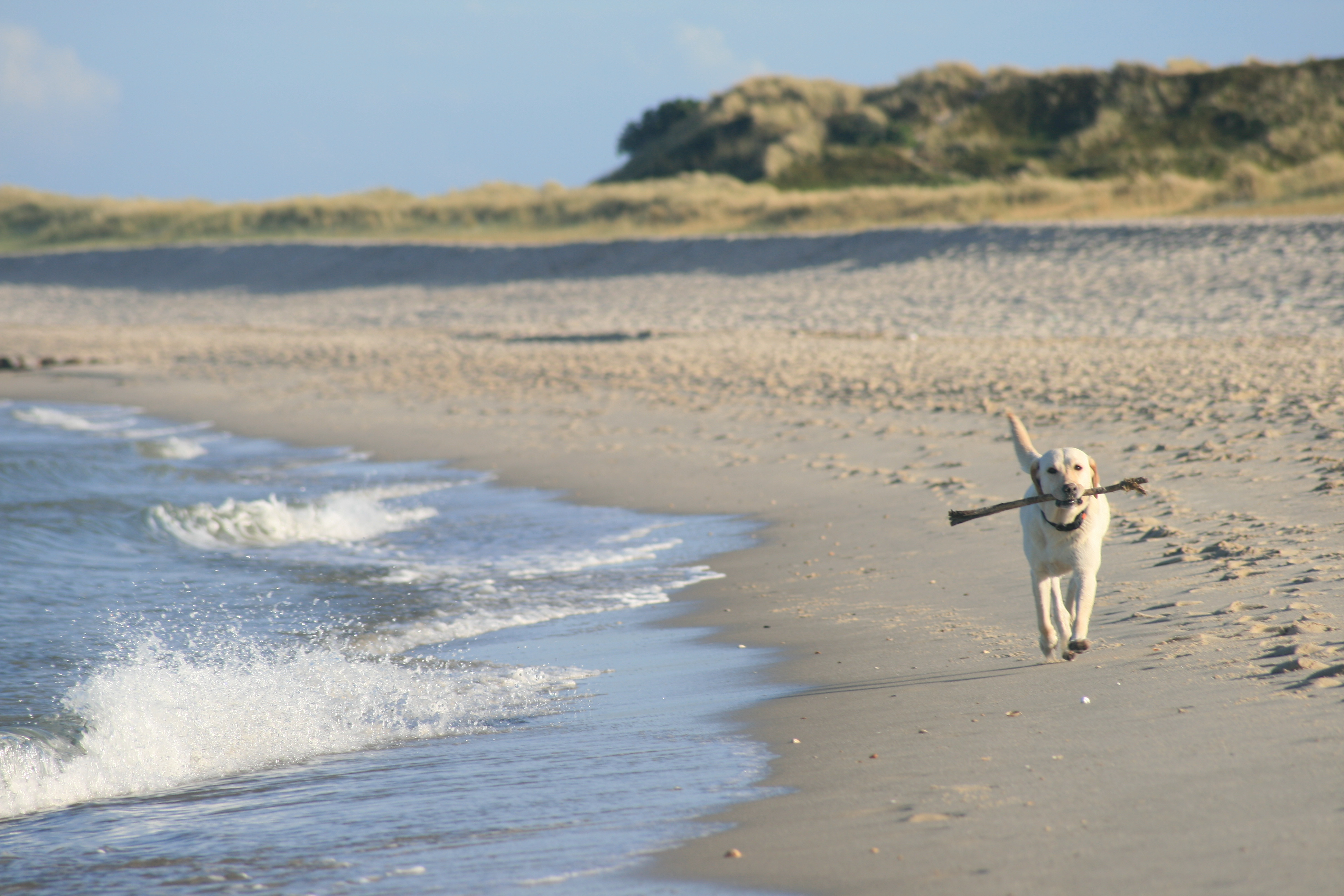 AdobeStock_930784147