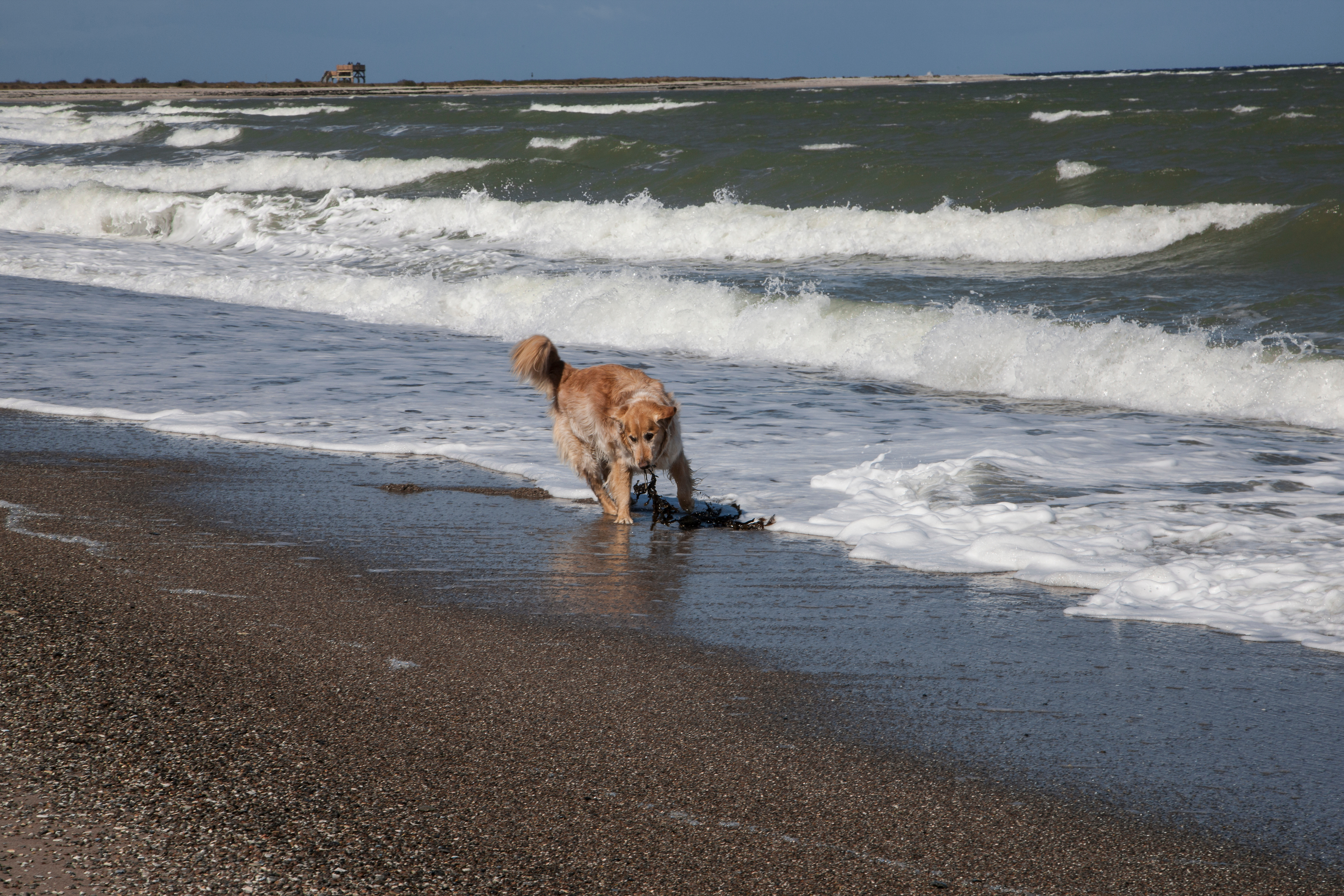 AdobeStock_145981411